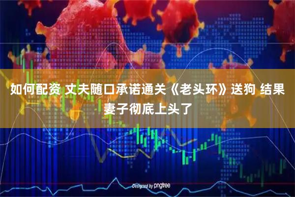 如何配资 丈夫随口承诺通关《老头环》送狗 结果妻子彻底上头了